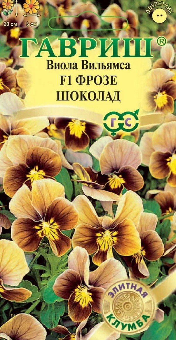 Виола Фрозе шоколад F1, 5шт. Элитная клумба.