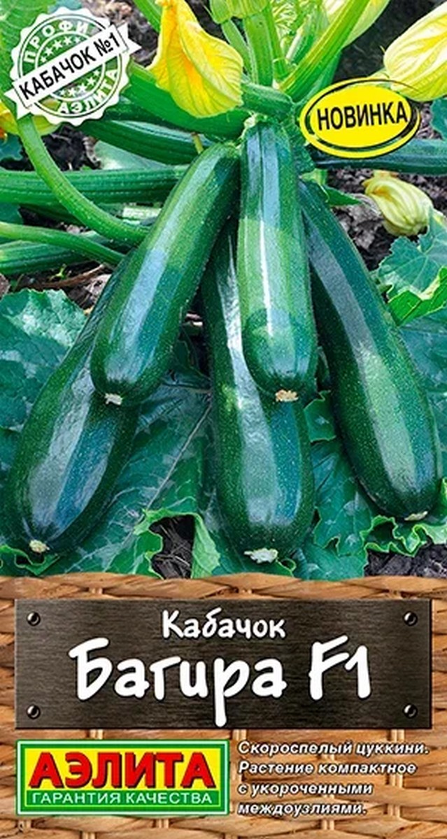 Кабачок цуккини Багира F1, 5 шт.