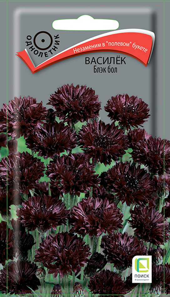 Василёк Блэк Бол, 1 г