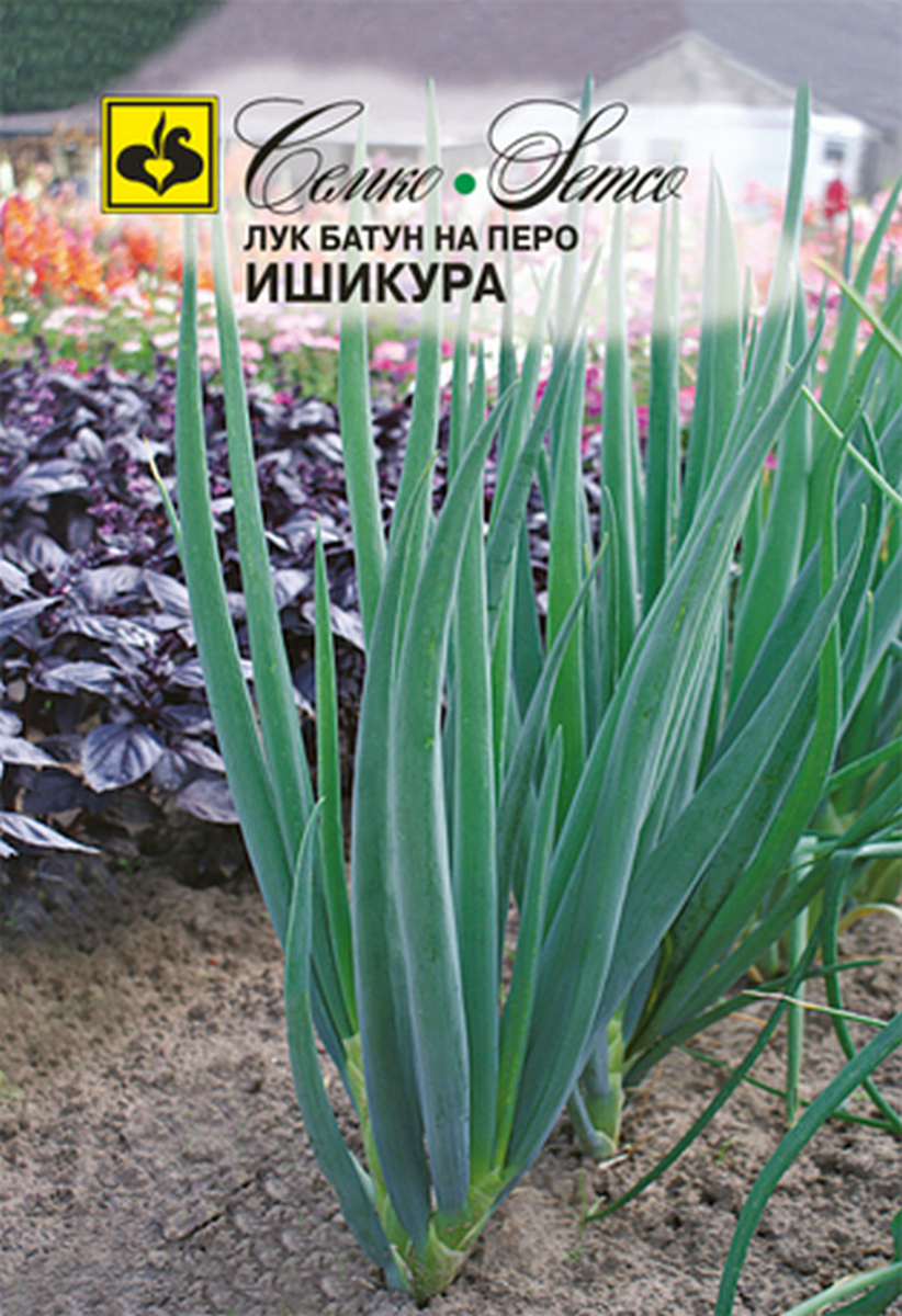 Лук батун Ишикура, 1 г
