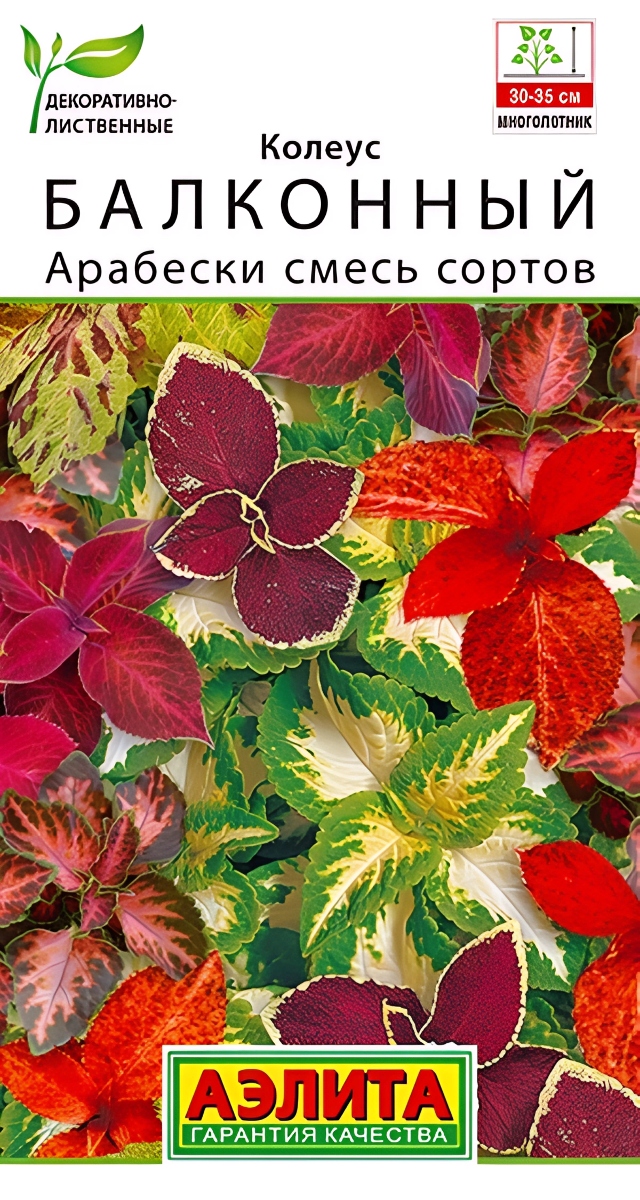 Колеус балконный Арабески, смесь сортов, 5 шт.