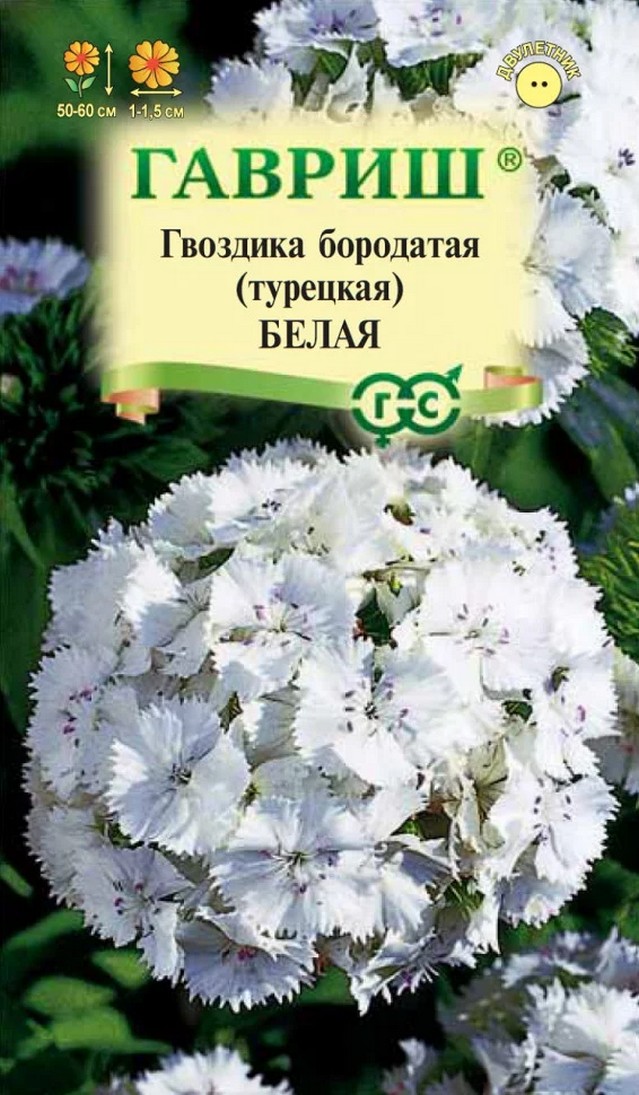Гвоздика бородатая (турецкая) Белая, 0,1 г 