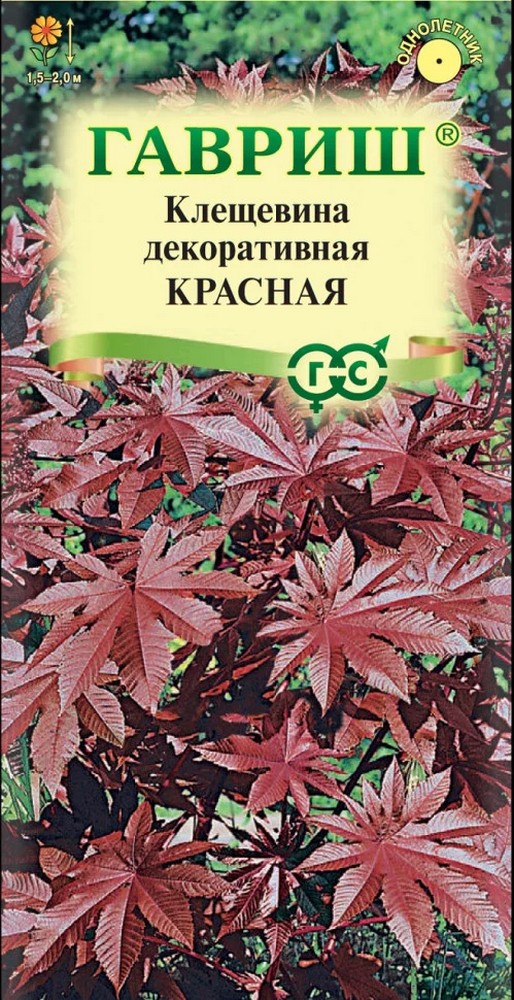 Клещевина красная, 5 шт.