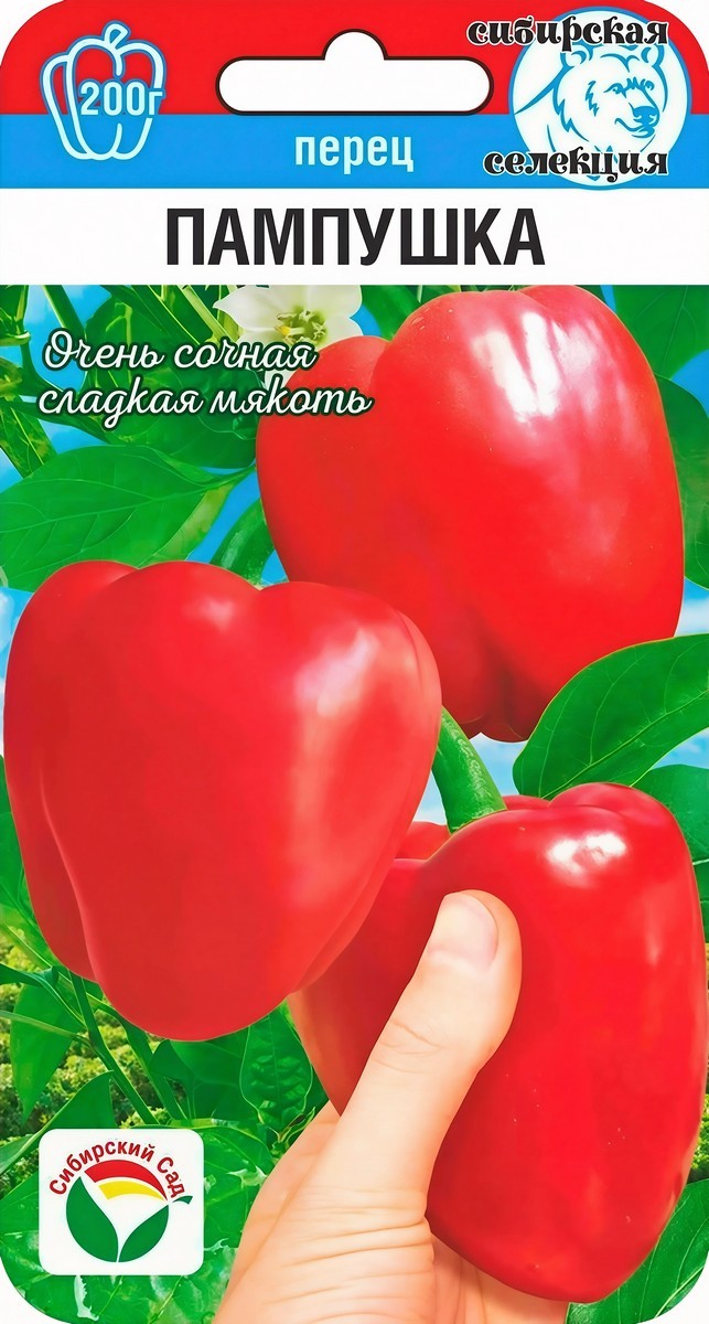 Перец сладкий Пампушка, 10 шт.