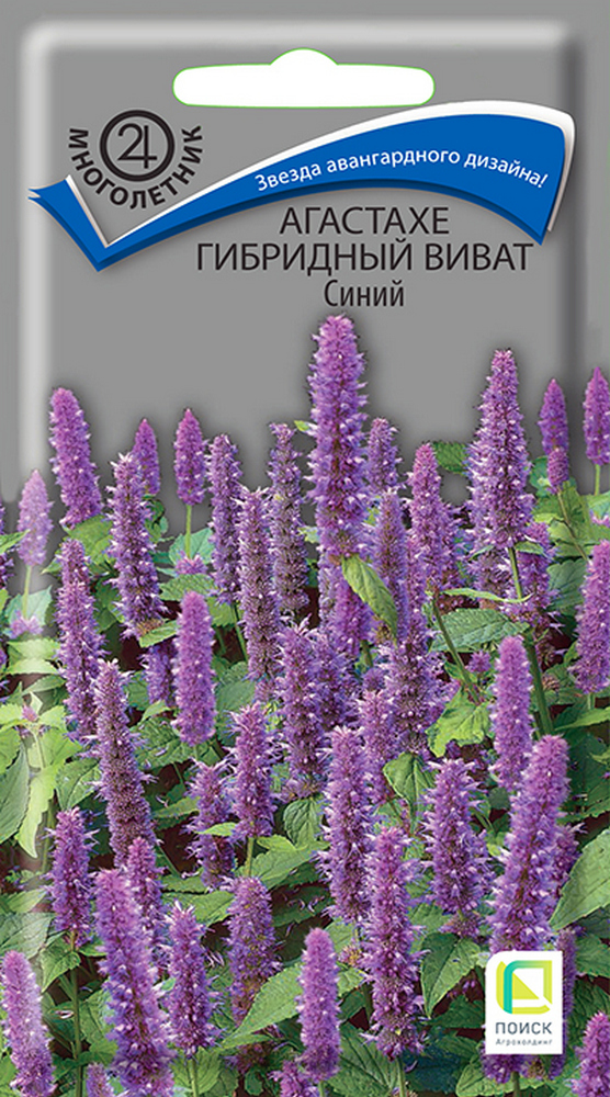 Агастахе гибридный Виват Синий, 10 шт.