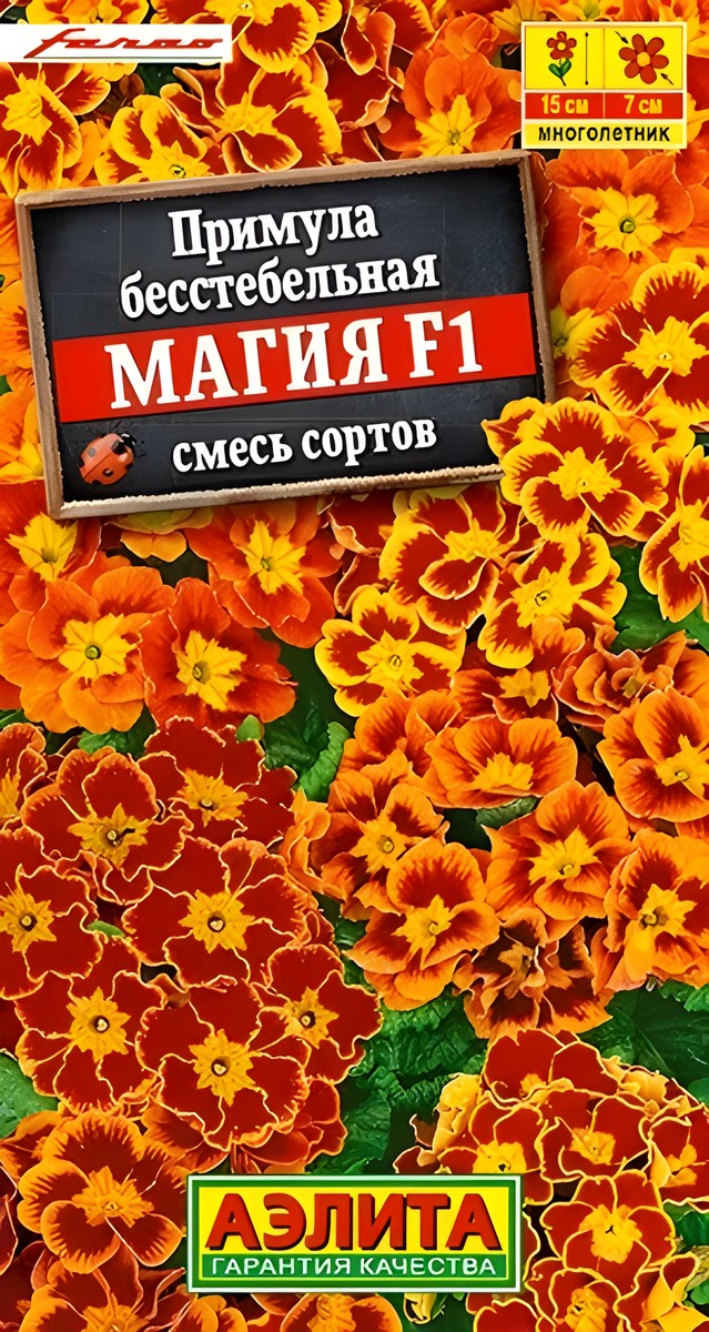 Примула Магия F1, смесь окрасок, 7 шт.