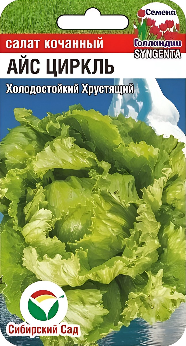 Салат Айс Циркль, 15 шт. Семена Голландии
