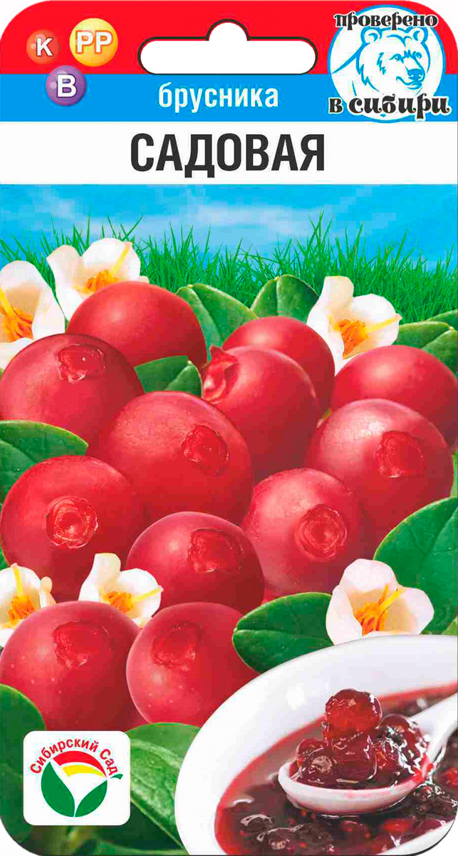 Брусника Садовая, 10 шт.