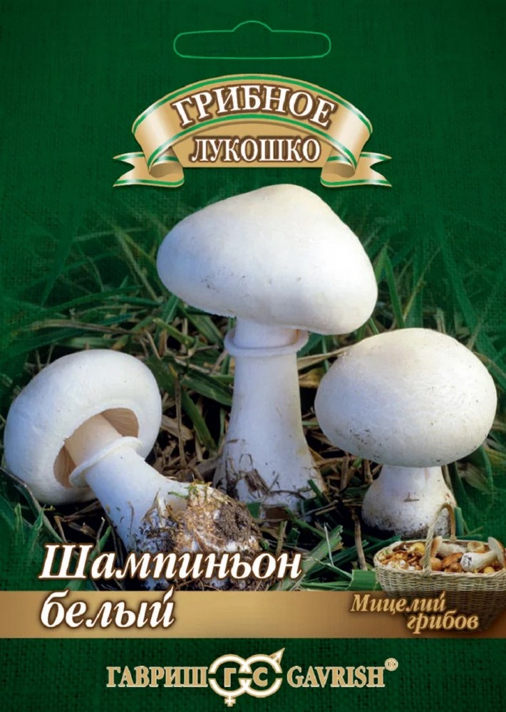 Шампиньон Белый на зерновом субстрате, 15 мл