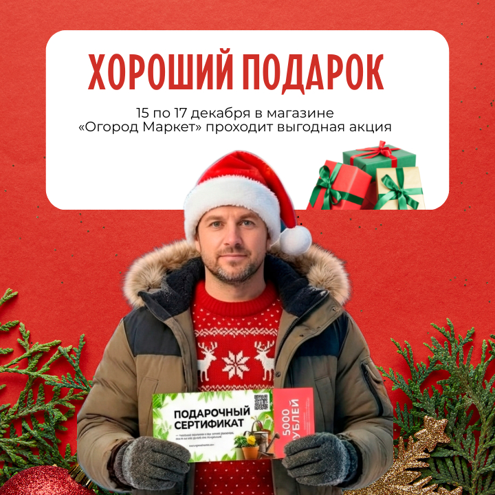 Скидка на второй сертификат