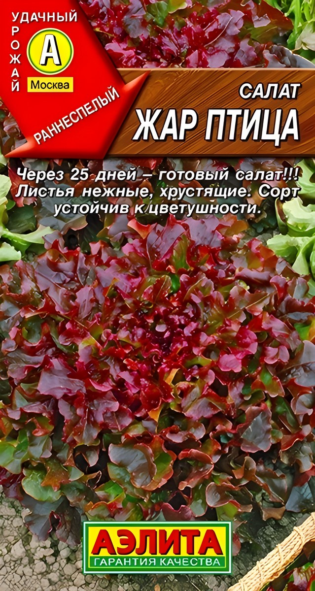 Салат листовой Жар птица, 0,5 г