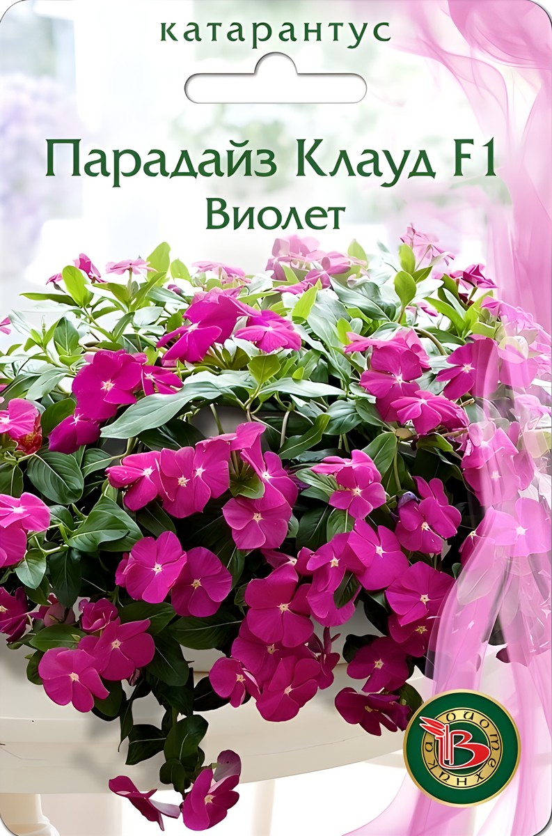 Катарантус Парадайс Клаут F1 Виолет, 5 шт.