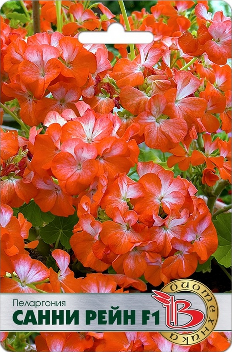 Пеларгония  Санни Рейн F1, 5 шт. Биотехника