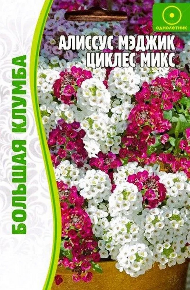Алиссум Мэджик Циклес микс, 0,1 г