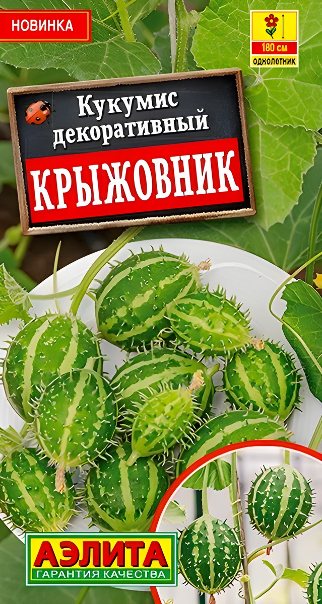 Кукумис декоративный Крыжовник, 5 шт.
