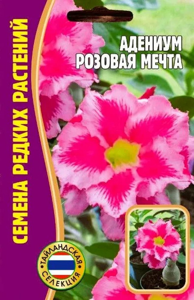 Адениум Розовая Мечта, 3 шт.