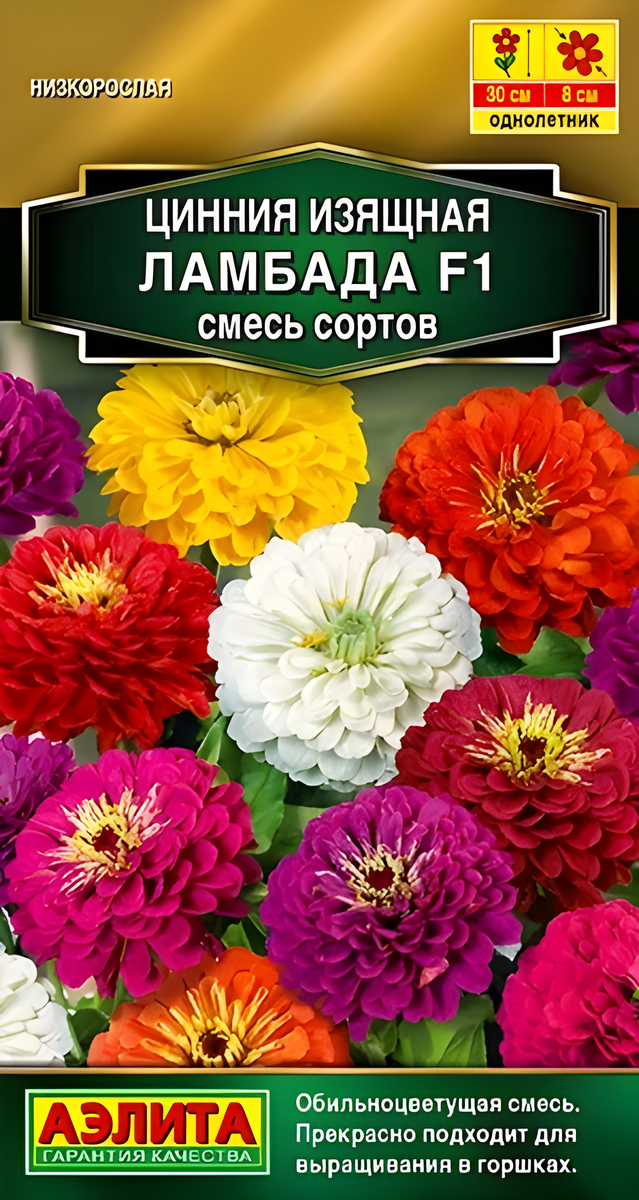 Цинния изящная Ламбада F1, смесь сортов, 12 шт.