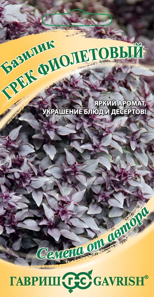 Базилик Грек Фиолетовый, 15 шт. Семена от автора.