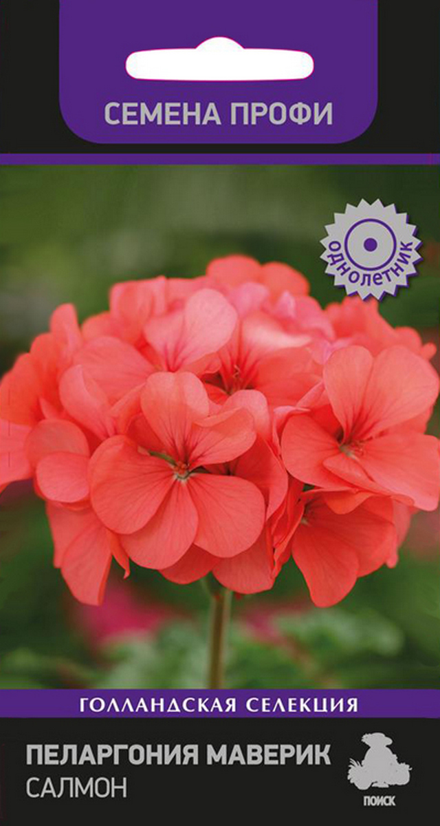 Пеларгония маверик Салмон, 5 шт. Семена профи