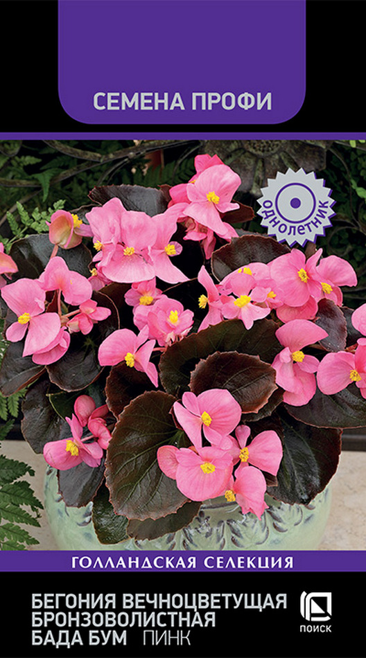Бегония вечноцветущая бронзоволистная Бада Бум Пинк, 15 шт. Семена Профи