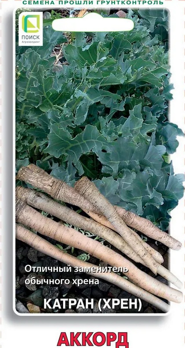 Катран (Хрен) Аккорд, 0,3 г Поиск