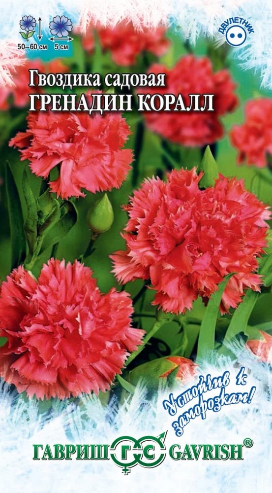 Гвоздика садовая гренадин Коралл, 0,1 г. Устойчив к заморозкам.