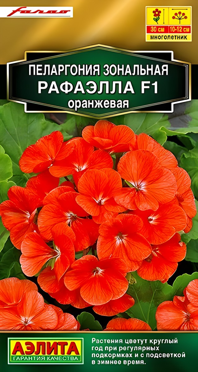 Пеларгония Рафаэлла F1, оранжевая, 5 шт.
