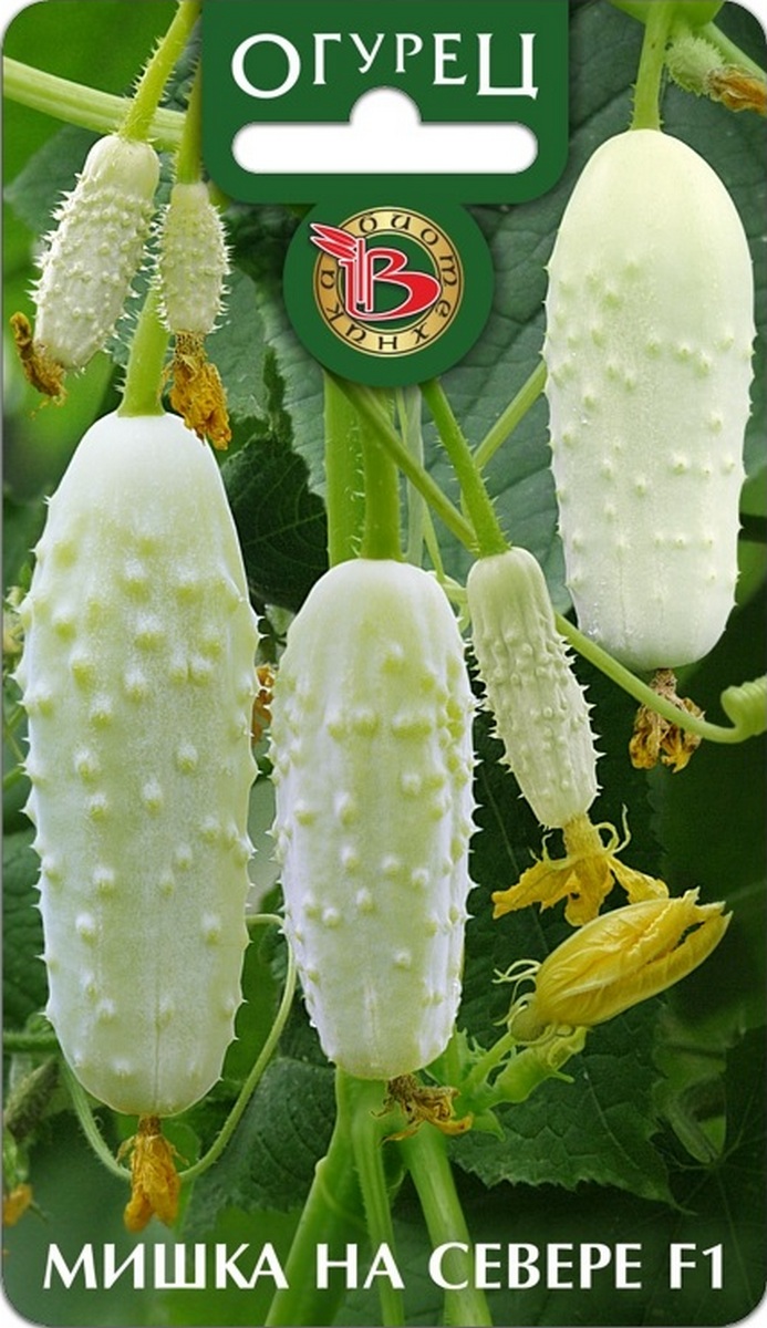 Огурец Мишка на севере F1, 12 шт. Биотехника