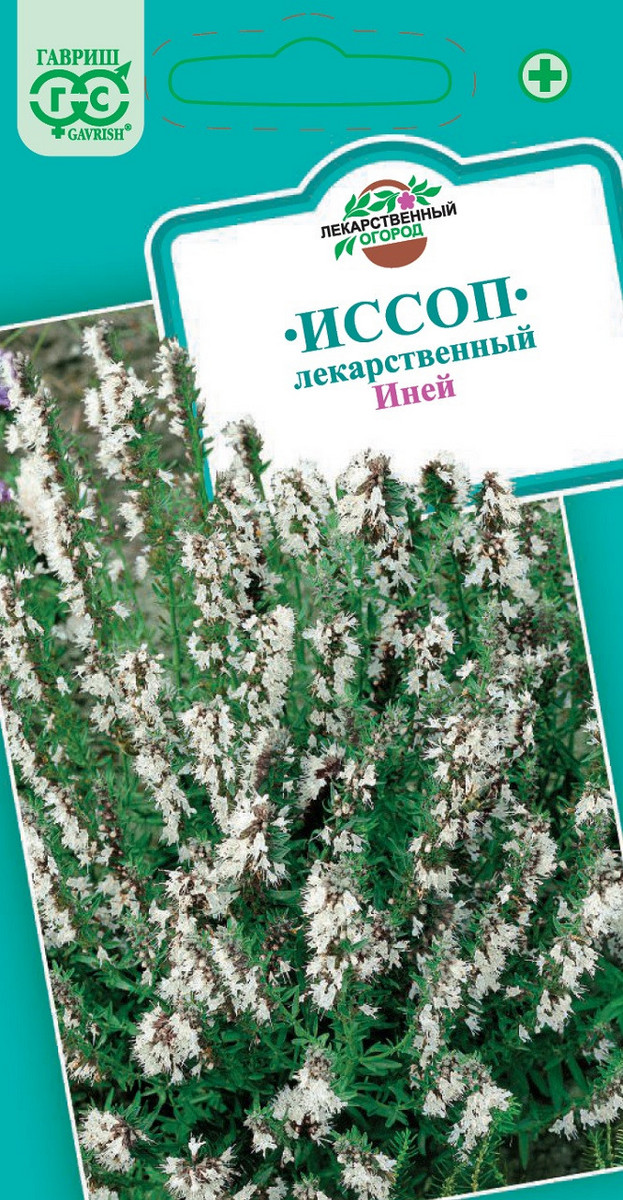 Иссоп Инней, 0,2 г. Лекарственная.