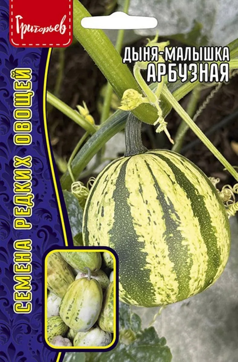 Дыня-малышка Арбузная, 5 шт. 