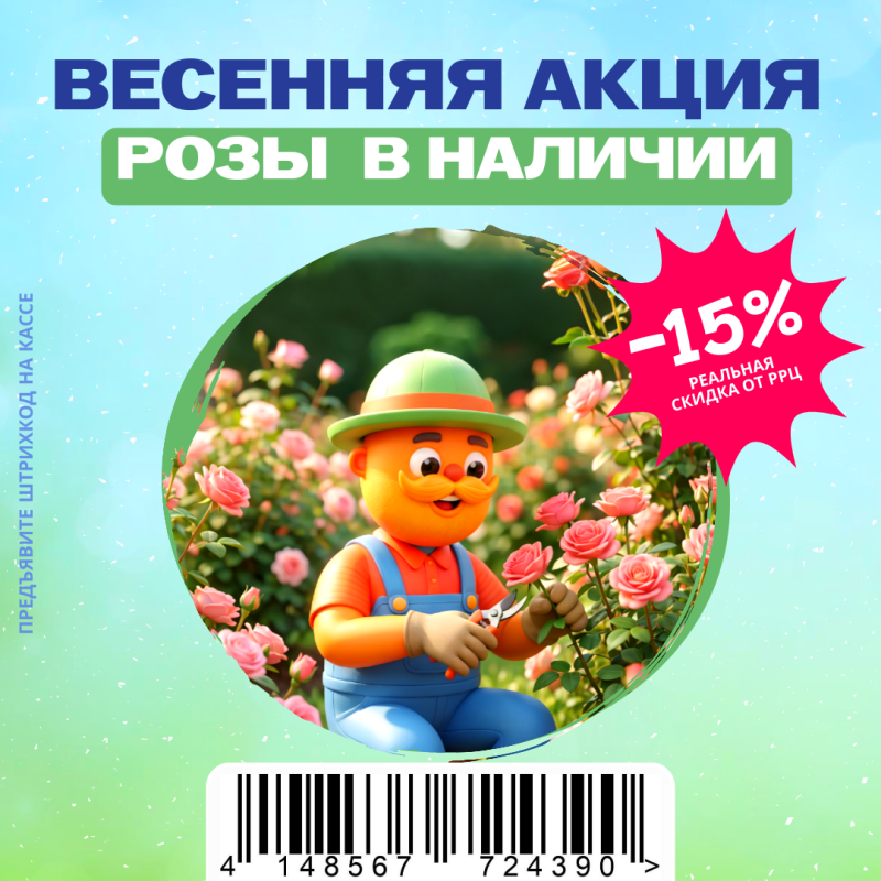 Розы в наличии в нашем магазине