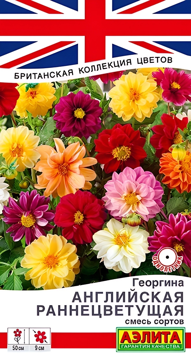 Георгина Английская раннецветущая, смесь, 0,3 г