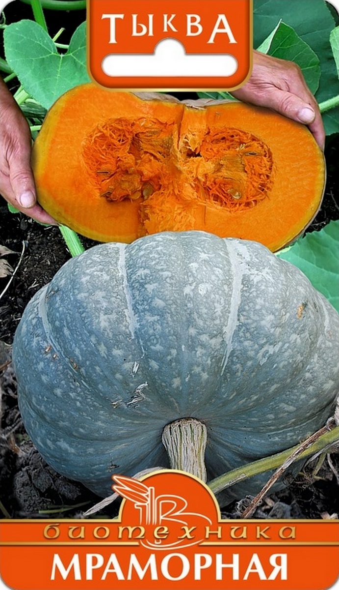 Тыква Мраморная, 4 шт. Биотехника