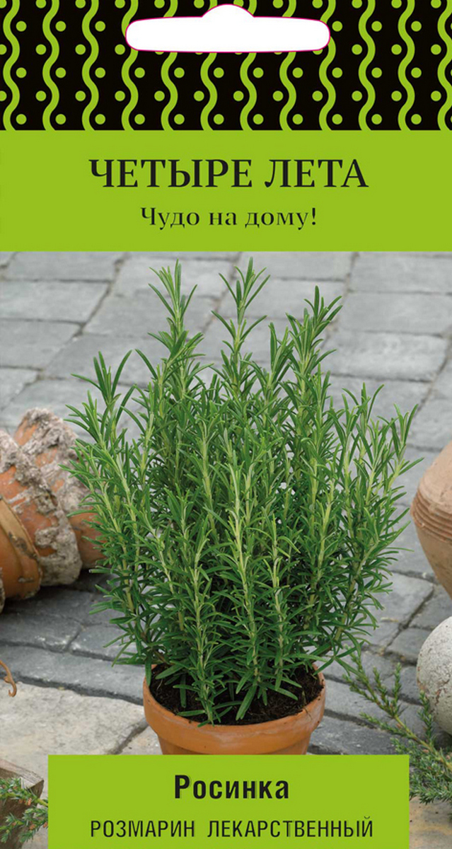 Розмарин Росинка, 10 шт.