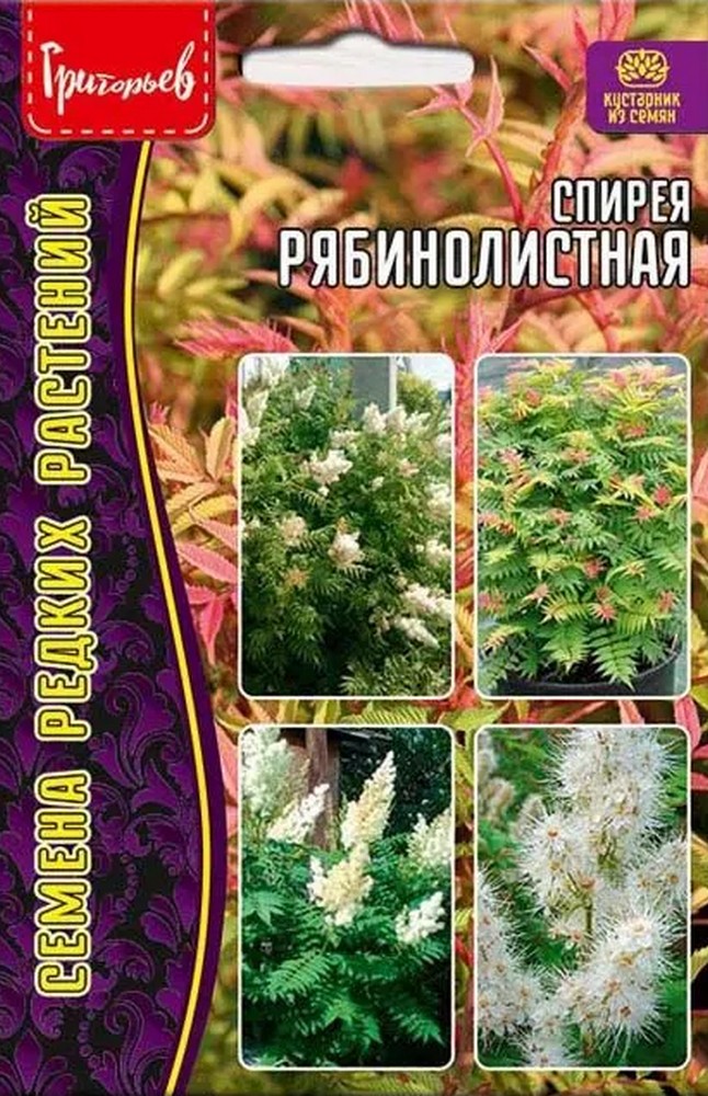 Спирея Рябинолистная, 0,02 г 