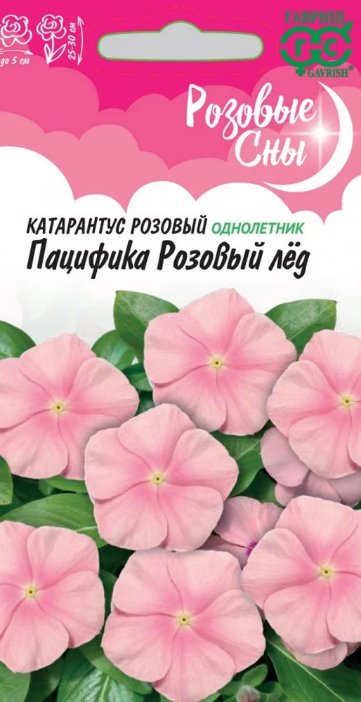 Катарантус Пацифика розовый лед, 5 шт. Розовые сны.