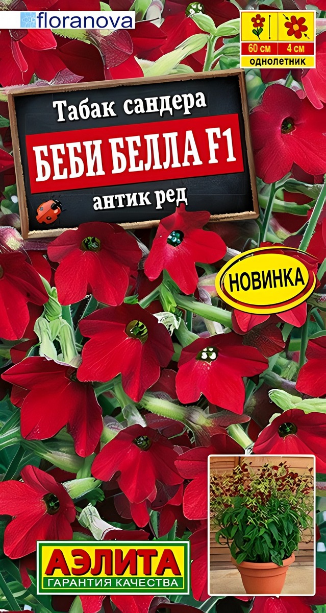 Табак сандера Беби Белла F1 антик ред, 7 шт.