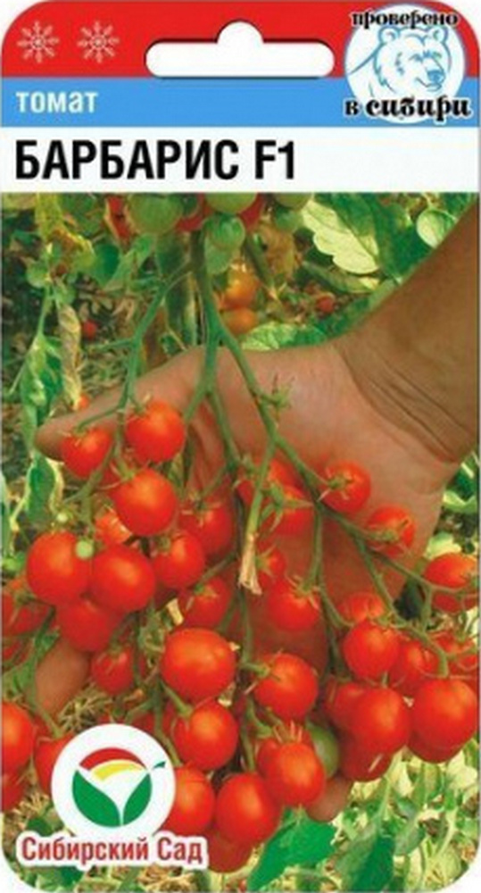 Томат Барбарис F1, 15 шт. Сибирский сад