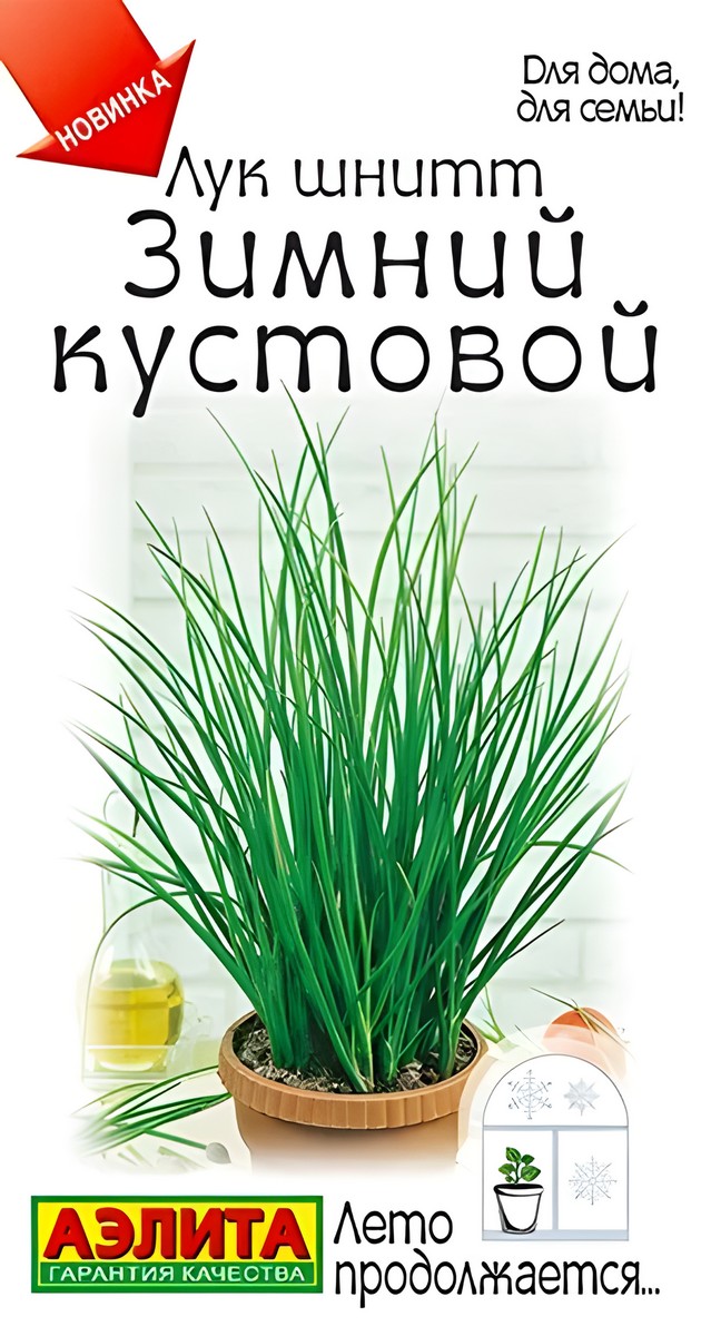 Лук шнитт Зимний кустовой, 0,3 г