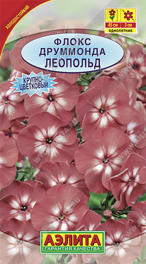 Флокс друммонда крупноцветковый Леопольд, 0,2 г