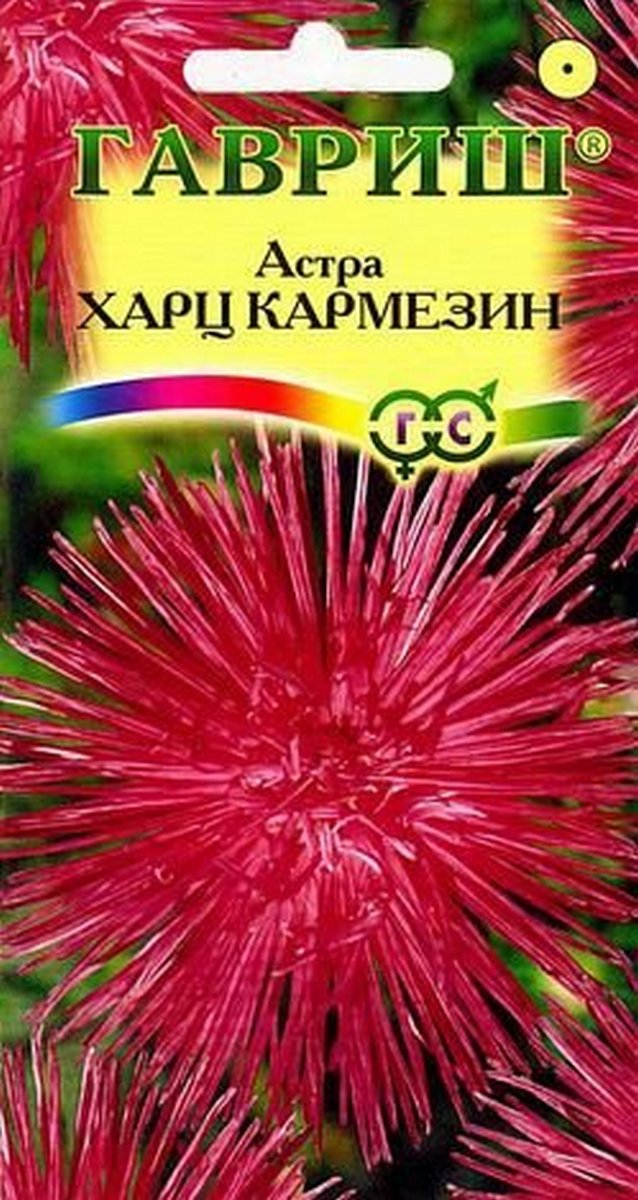 Астра Харц Кармезин темно-красная, тонкоигольчатая, 0,3 г