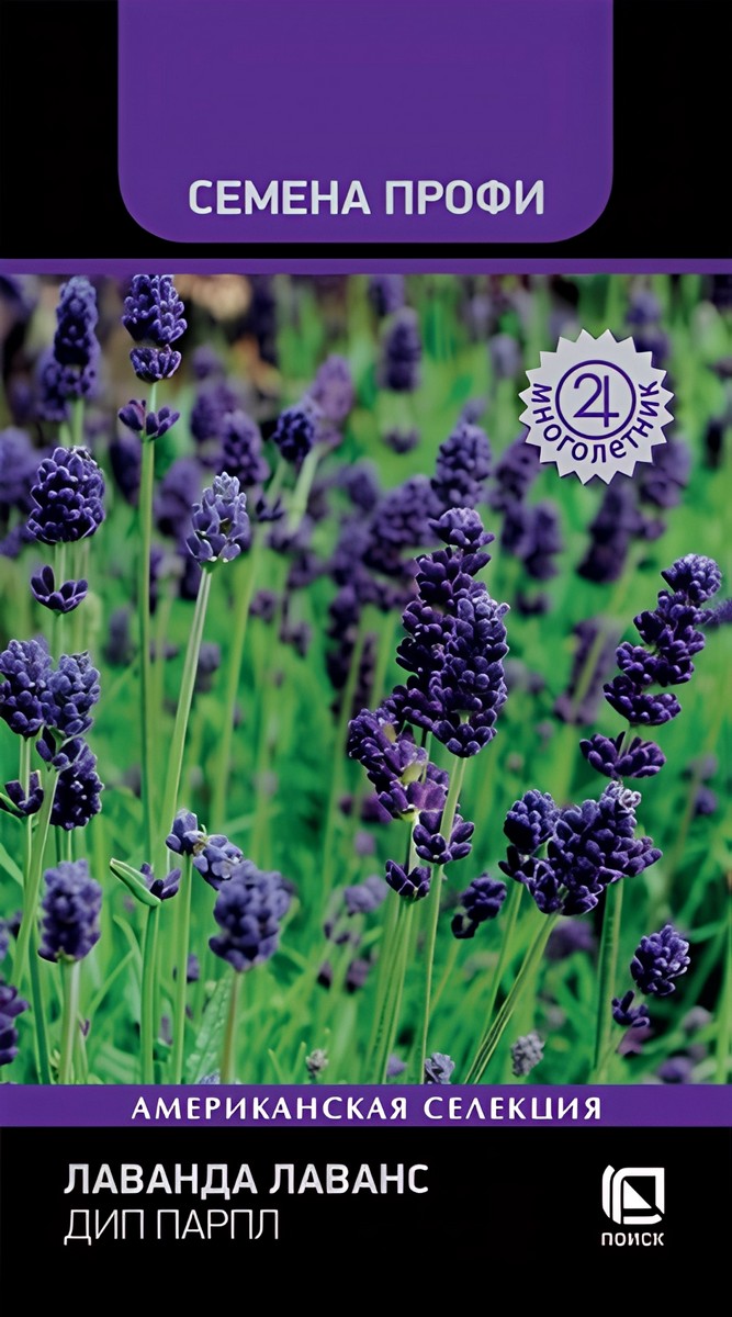 Лаванда Лаванс Дип Парпл, 10 шт. Семена Профи