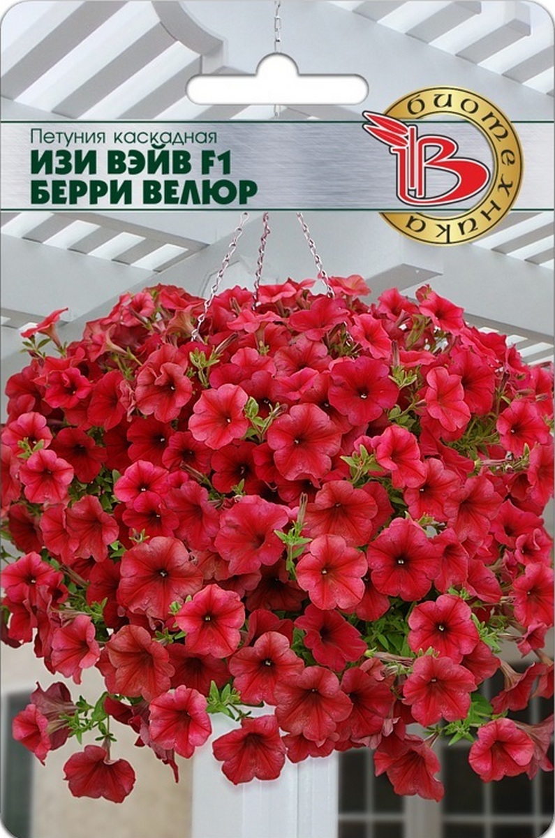 Петуния каскадная Изи Вейв F1 Берри Велюр, 5 шт.