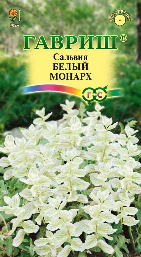 Сальвия хорминум Белый Монарх, 0,05 г