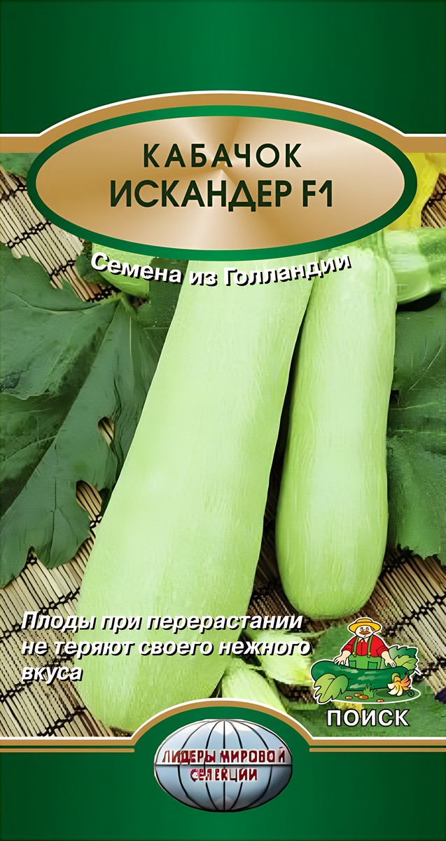 Кабачок Искандер F1, 5 шт. Поиск.