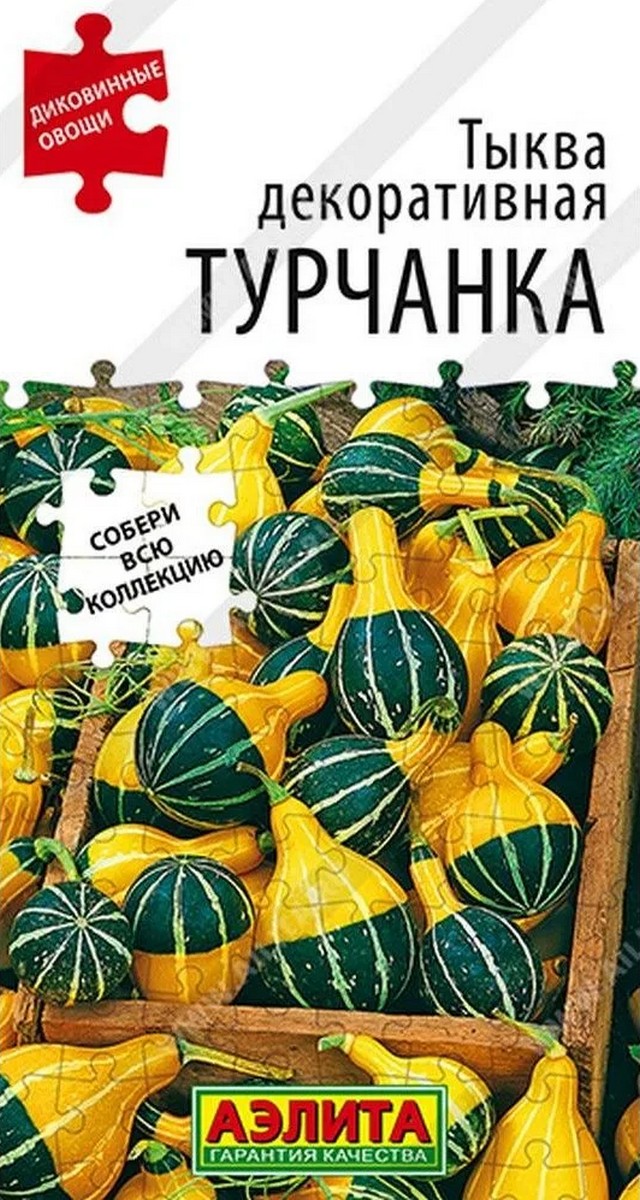 Тыква декоративная Турчанка, 10 шт.