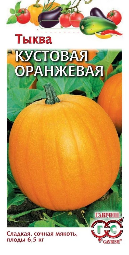Тыква кустовая оранжевая, 1 г
