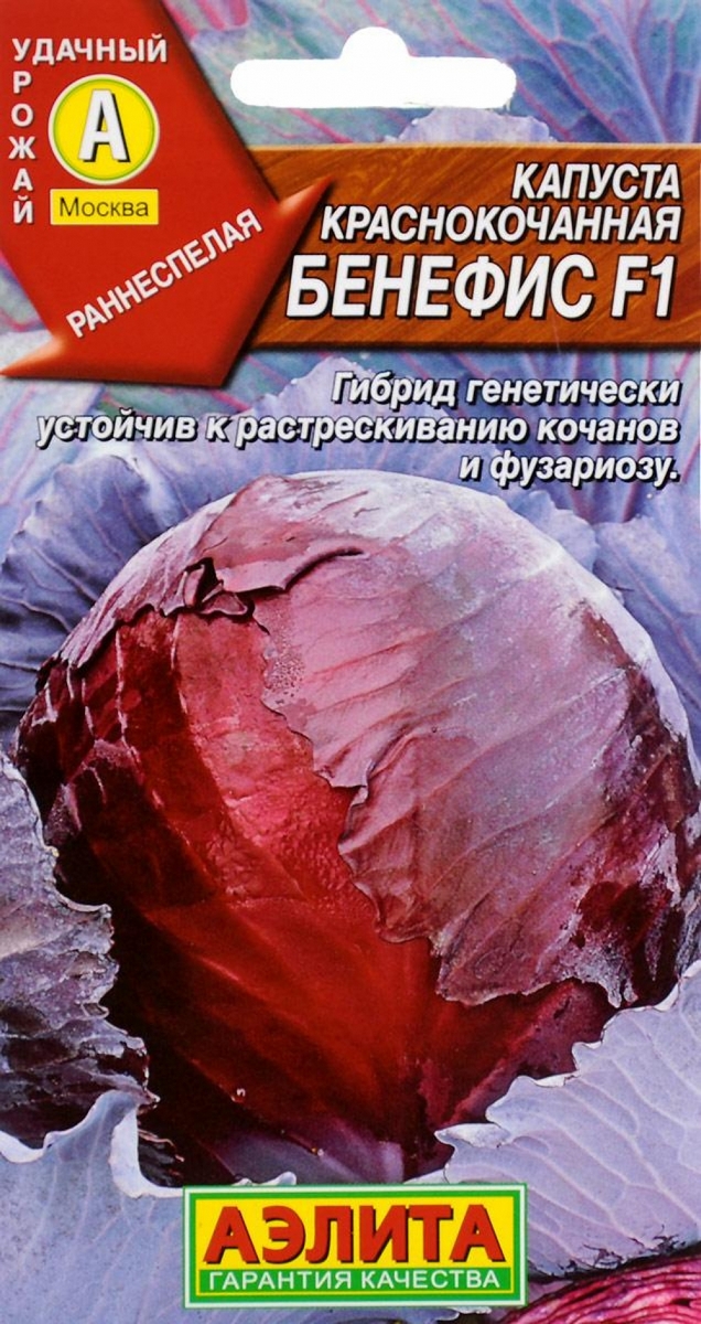 Капуста краснокочанная Бенефис F1, 0,1 г