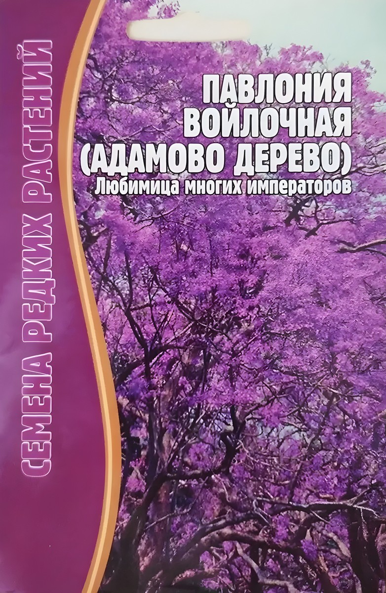 Павловния войлочная (Адамово дерево), 10 шт.