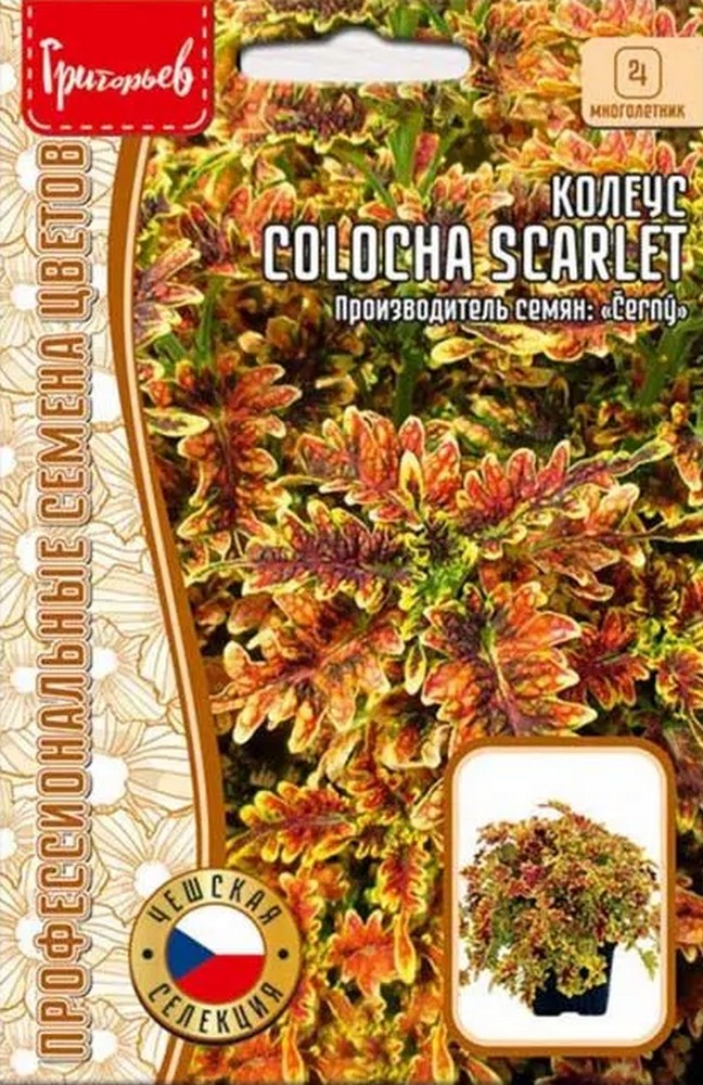 Колеус Колоча Scarlet (Алый), 5 шт.